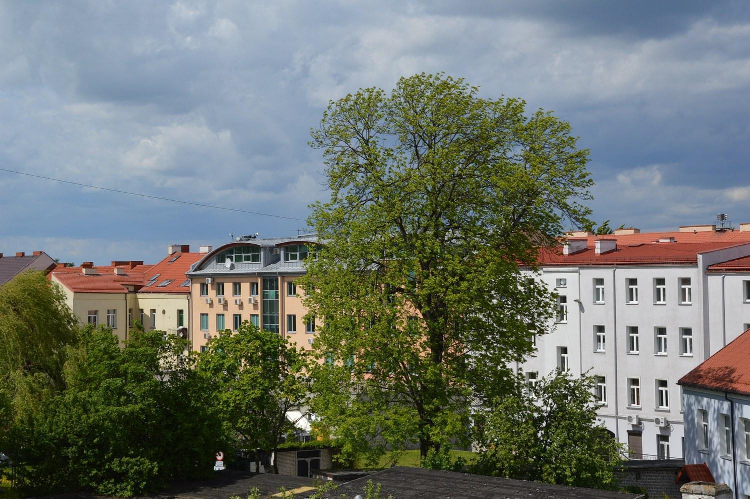 Pokoje Goscinne Centrum Kultury Prawoslawnej Białystok Exterior foto